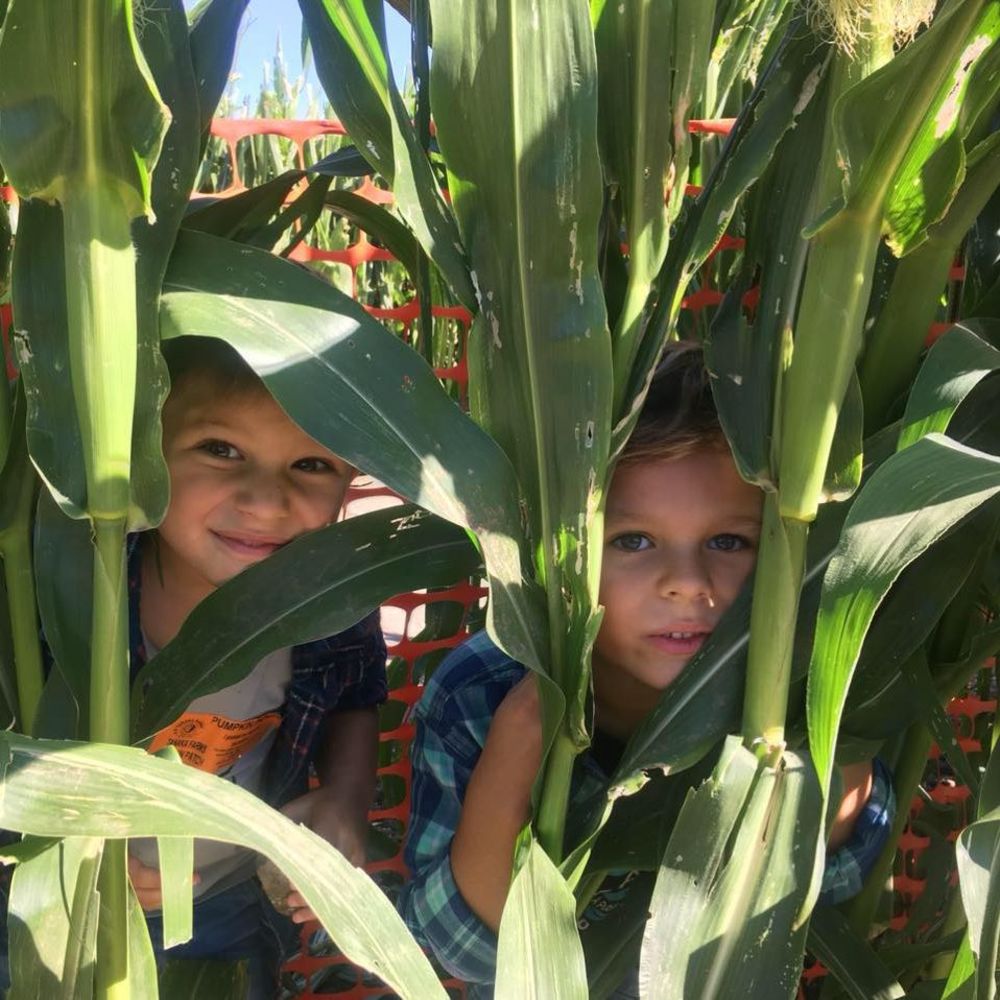 Meet your Posher, Simo si tinu